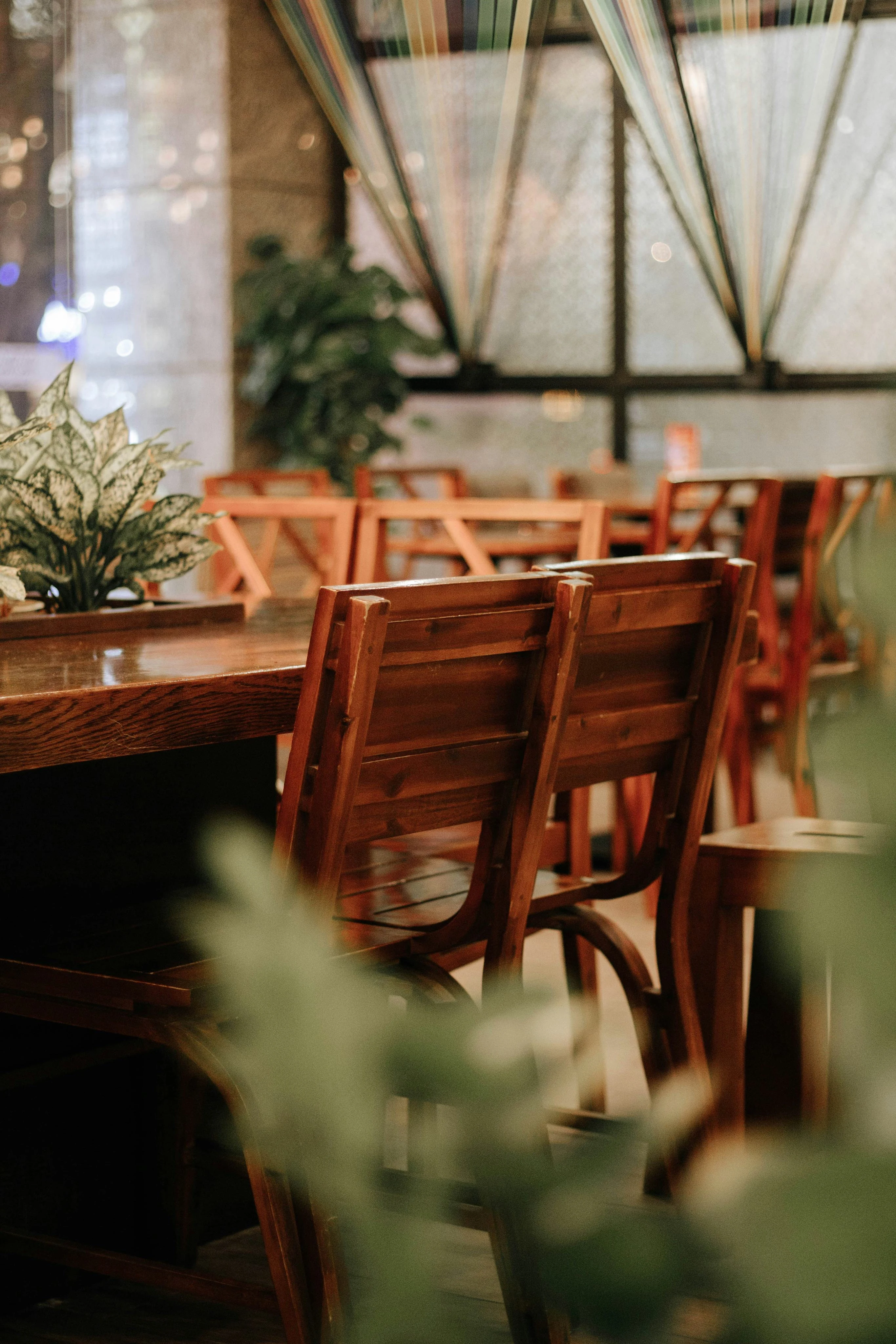 Wooden dining chairs in a light-filled interior